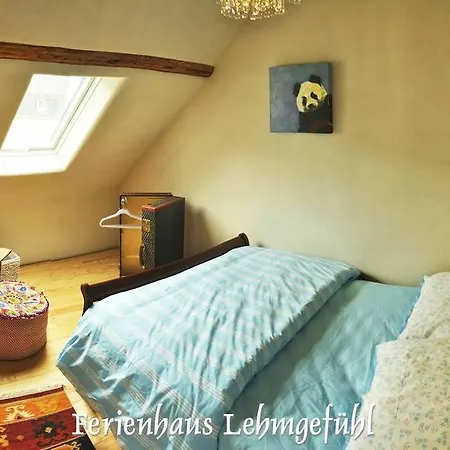 度假居 Ferienwohnung Haus Lehmgefuehl 特里尔