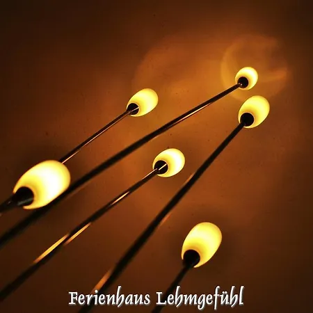 Ferienwohnung Haus Lehmgefuehl