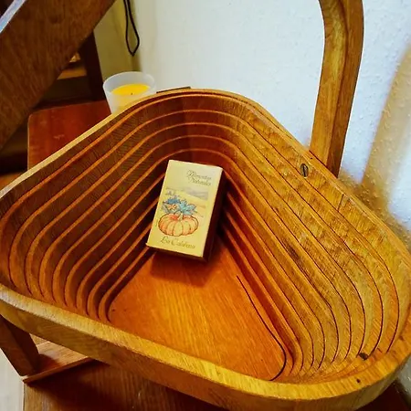 度假居 Ferienwohnung Haus Lehmgefuehl 特里尔