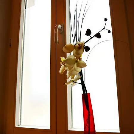 度假居 Ferienwohnung Haus Lehmgefuehl