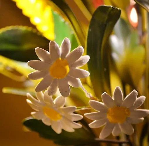 Дом отдыха Lehmgefuehl, Design Vier, La Petite Maison Трир