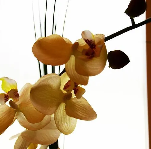 Lehmgefuehl, Design Vier, La Petite Maison * Trewir